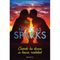 Cuando Los Deseos Se Hacen Realidad / The Wish - Paperback