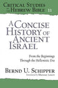 A Concise History of Ancient Israel: From the Beginnings Through the Hellenistic Era - Paperback
