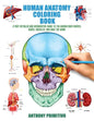 Human Anatomy Coloring Book: A Very Detailed and Informative Guide to the Human Body: Nerves, Bones, Muscles, and How to the Work - Paperback