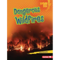 Dangerous Wildfires - Library Binding