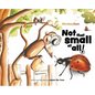 MonkeySam - Not that small at all!: A wondrous garden adventure. - Hardcover