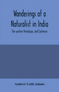 Wanderings of a naturalist in India: the western Himalayas, and Cashmere - Paperback