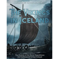 The Vikings in Iceland: The History of the Norse Expeditions and Settlements across Iceland - Paperback