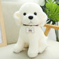 Nari Doll Ragdoll Children's Birthday Gift