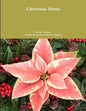 Christmas Herbs - Paperback