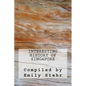 Interesting History of Singapore - Paperback