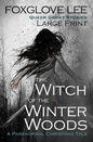 The Witch of the Winter Woods: Large Print: A Paranormal Christmas Tale - Paperback