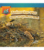 Animales Que Son Arquitectos: Animal Architects - Paperback
