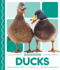 Ducks - Library Binding