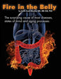 Fire In The Belly: The Surprising Cause of Most Diseases, States Of Mind and Aging Processes - Paperback