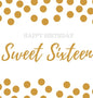 Happy 16th Birthday Guest book Sweet Sixteen: Guest book, party and birthday celebrations decor, memory book,16th birthday guest book, happy birthday - Hardcover