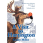 A Visit to Hartington: A Short Story Collection about Life in a Small Nebraska Town - Paperback