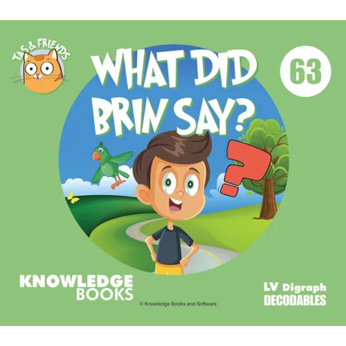 What Did Brin Say?: Book 63 - Paperback