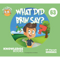 What Did Brin Say?: Book 63 - Paperback