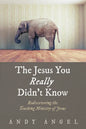 The Jesus You Really Didn't Know: Rediscovering the Teaching Ministry of Jesus - Paperback