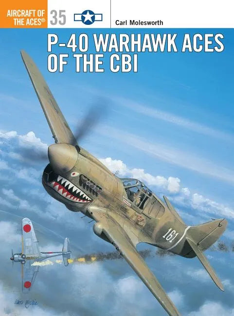 P-40 Warhawk Aces of the Cbi - Paperback