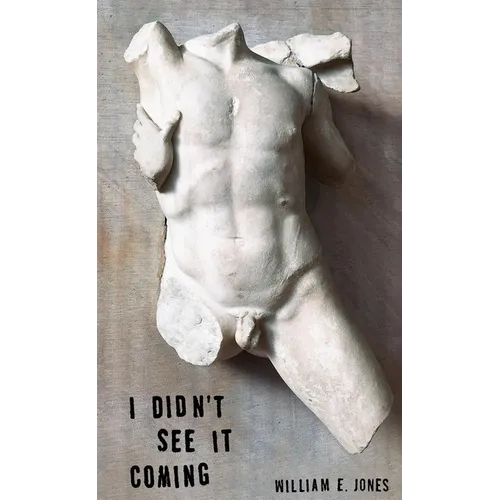 I Didn't See It Coming - Paperback