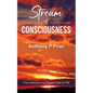 Stream of Consciousness - Paperback