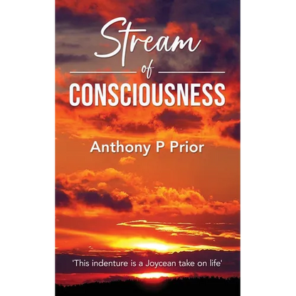 Stream of Consciousness - Paperback