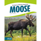 Moose - Library Binding