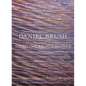 Daniel Brush: Thinking about Monet - Hardcover