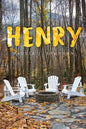 Henry - Paperback