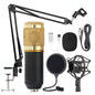 Shouting Microphone Recording Live K Song Podcast