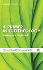 A Primer in Ecotheology: Theology for a Fragile Earth - Paperback