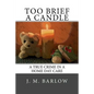 Too Brief A Candle: A True Crime in a Home Day Care - Paperback