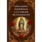 Oraciones Poderosas a la Virgen de Guadalupe: Encuentra Paz, Protección y Milagros - Paperback