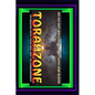 Torahzone: We Do Not Wrestle Against Flesh And Blood - Paperback