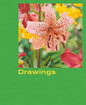 Mathew Cerletty: Drawings - Hardcover