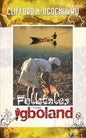 Folktales From Igboland - Paperback