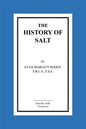 The History of Salt - Paperback