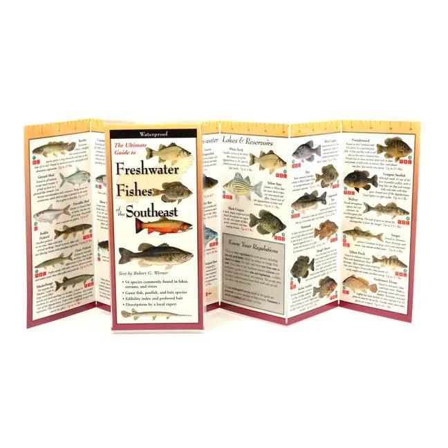 Freshwater Fishes of the Southeast