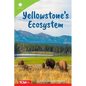 Yellowstone's Ecosystem - Paperback
