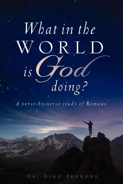 What in the World Is God Doing? - Paperback