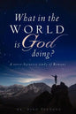 What in the World Is God Doing? - Paperback