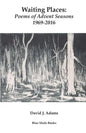 Waiting Places: Poems of Advent Seasons 1969-2016 - Paperback