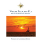 Where Pelicans Fly: High Seas Saga of Loyalty, Love, and Treasure - Hardcover