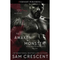 To Awaken a Monster - Paperback
