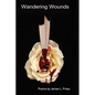 Wandering Wounds - Hardcover