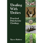 Dealing With Deities: Practical Polytheistic Theology - Paperback