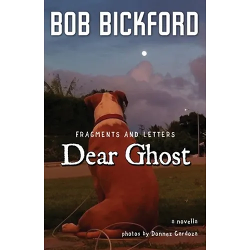 Dear Ghost: Fragments and Letters - Paperback