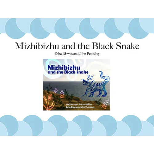 Mizhibizhu and the Black Snake - Paperback
