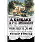 A Disease in the Public Mind: A New Understanding of Why We Fought the Civil War - Paperback