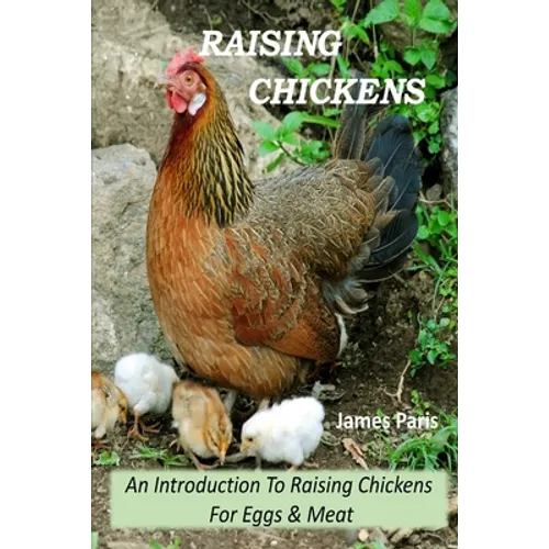 Raising Chickens - An Introduction To Raising Chickens For Eggs & Meat - Paperback