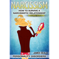 Personality Disorders: NARCISSISM: How To Survive A Narcissistic Relationship - Paperback