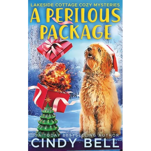 A Perilous Package - Paperback