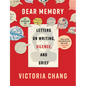 Dear Memory: Letters on Writing, Silence, and Grief - Paperback